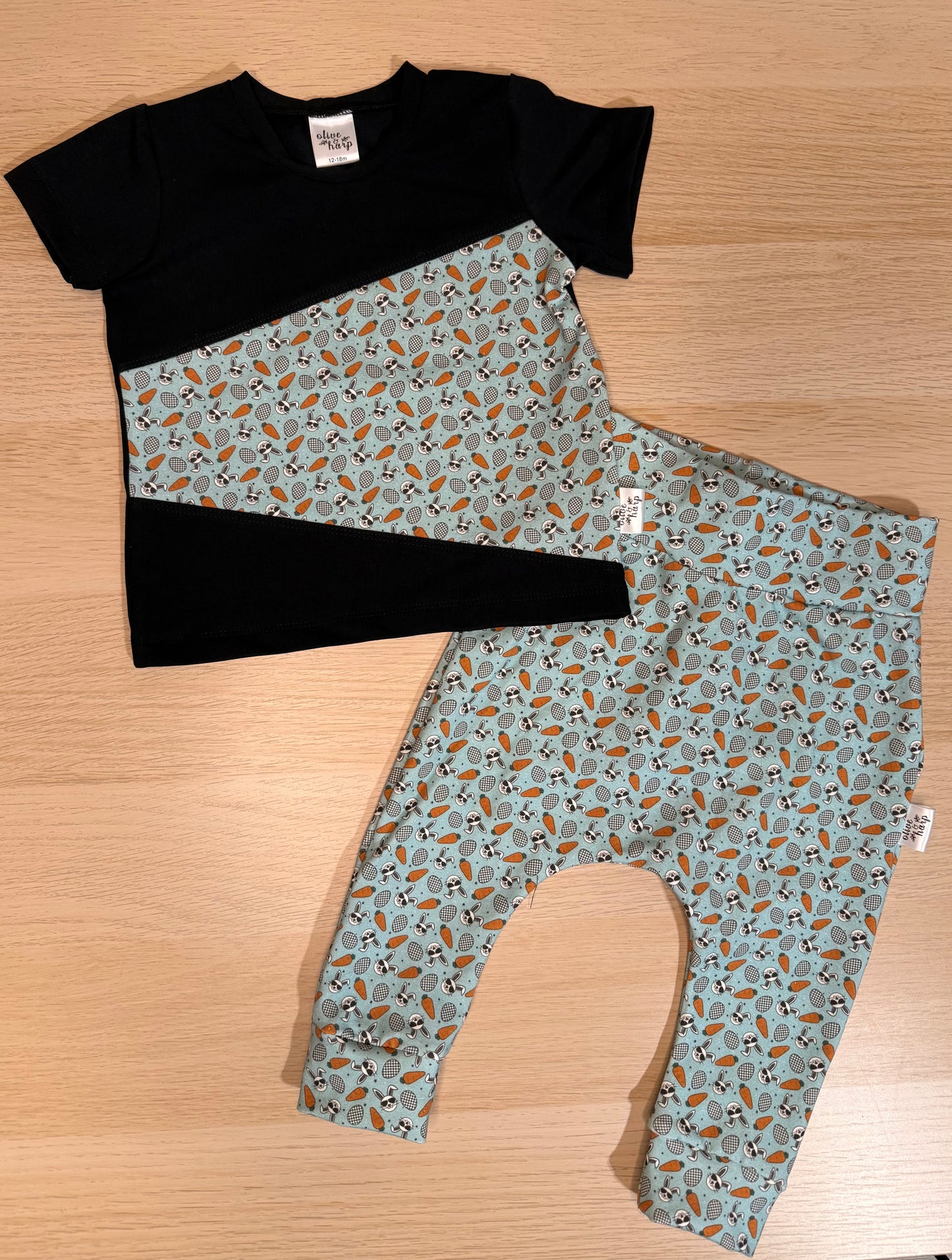 Jogger and Color Block Tee Set- Easter Bunnies
